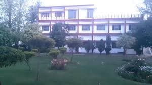 ALPINE PUBLIC SCHOOL