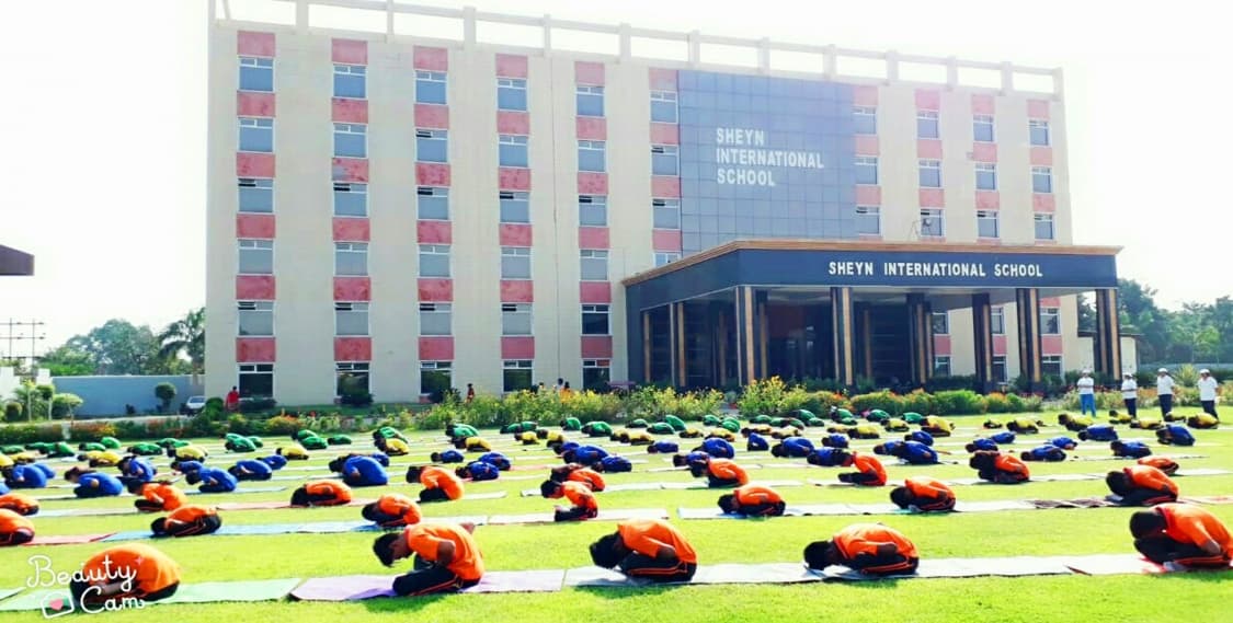 SHEYN INTERNATIONAL SCHOOL
