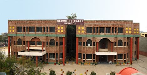 BLOOMING DALES SCHOOL