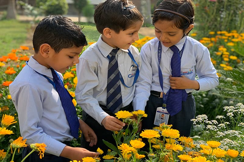 GENESIS PUBLIC SCHOOL, HASSANPUR