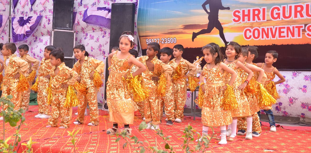 SHRI GURU NANAK CONVENT SCHOOL DULAT