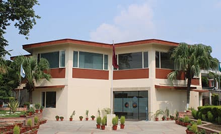 Apeejay School