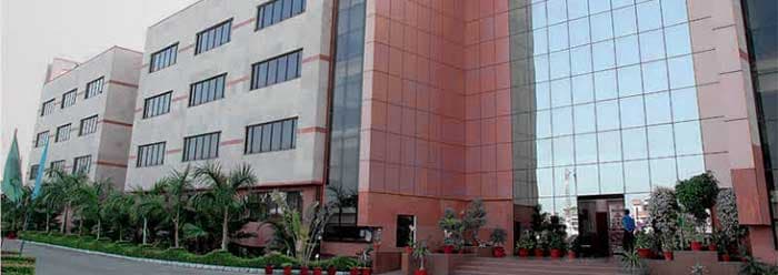 APEEJAY SVRAN GLOBAL SCHOOL