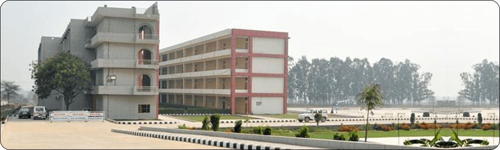 GOLD FIELD PUBLIC SCHOOL