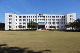 SINE INTERNATIONAL SCHOOL