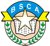 BRIGHT STAR CENTRAL ACADEMY