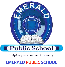 EMERALD PUBLIC SCHOOL,