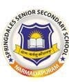 SPRINGDALES SENIOR SECONDARY SCHOOL
