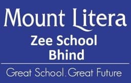 MOUNT LITERA ZEE SCHOOL