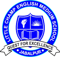 LITTLE CHAMP SCHOOL