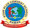 STAR PLUS CONVENT SCHOOL