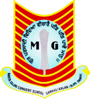 MATA GUJRI CONVENT SCHOOL