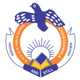 BABA AAPO AAP GURU NANAK PUBLIC SCHOOL,