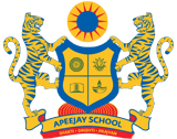 APEEJAY SCHOOL