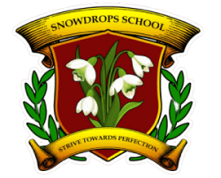 SNOWDROPS SCHOOL