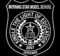  MORNING STAR MODEL SCHOOL