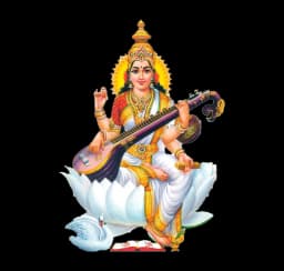 BRAHMI JANTA SR. SEC. SCHOOL