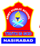 ARMY PUBLIC SCHOOL