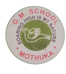 G M SCHOOL