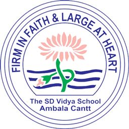 THE S D VIDYA SCHOOL