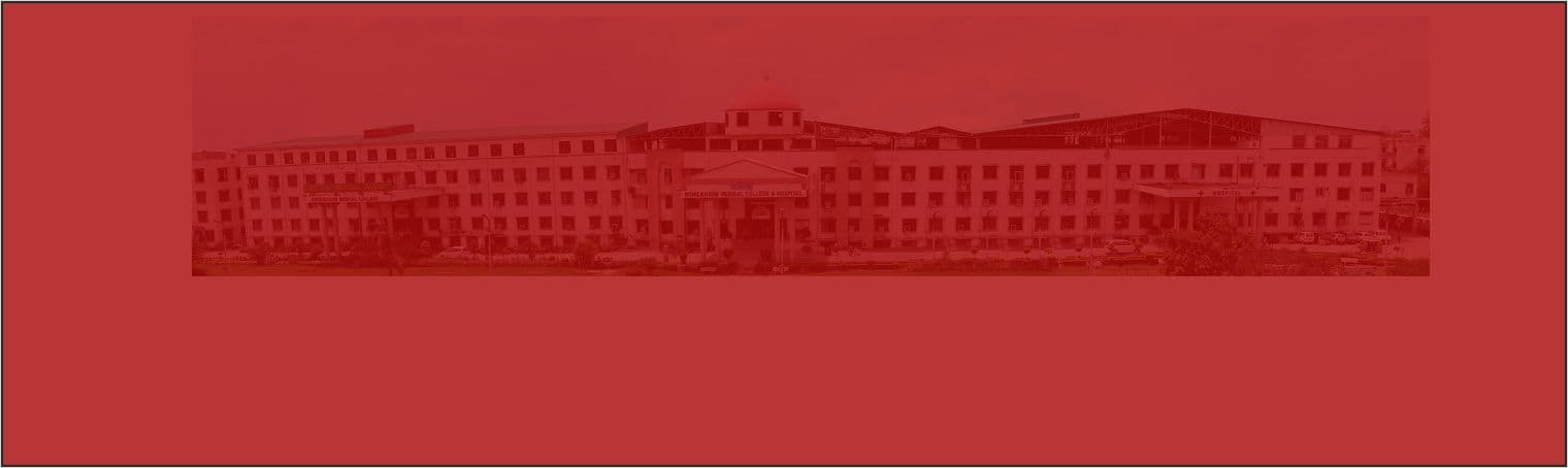 Bareilly International University campus