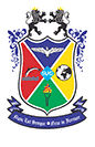 Starex University logo