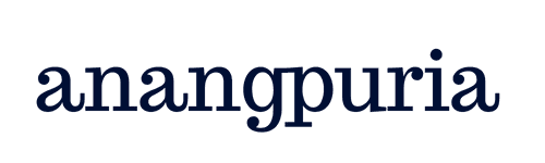 B.S. Anangpuria Educational Institutes  logo