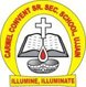 CARMEL CONVENT SCHOOL UJJAIN