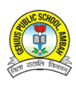 GENIUS PUBLIC SCHOOL AMBAH