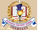 ST. ALPHONSA CONVENT SCHOOL