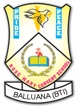 ROSE MARY CONVENT SCHOOL