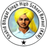 SHAHID BHAGAT SINGH HIGH SCHOOL