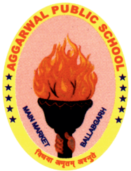 AGGARWAL PUBLIC SCHOOL BALLABGARH FARIDABAD