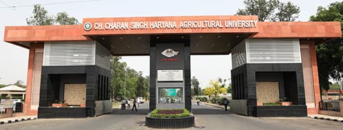 Choudhary Charan Singh Haryana Agricultural University campus