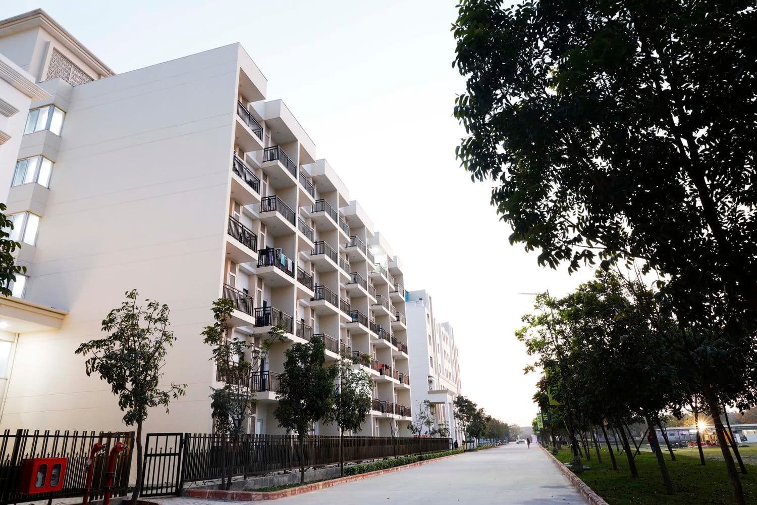 Noida International University campus