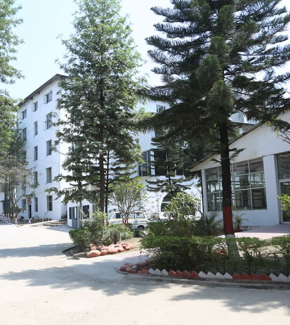 Ras Bihari Bose Subharti university campus