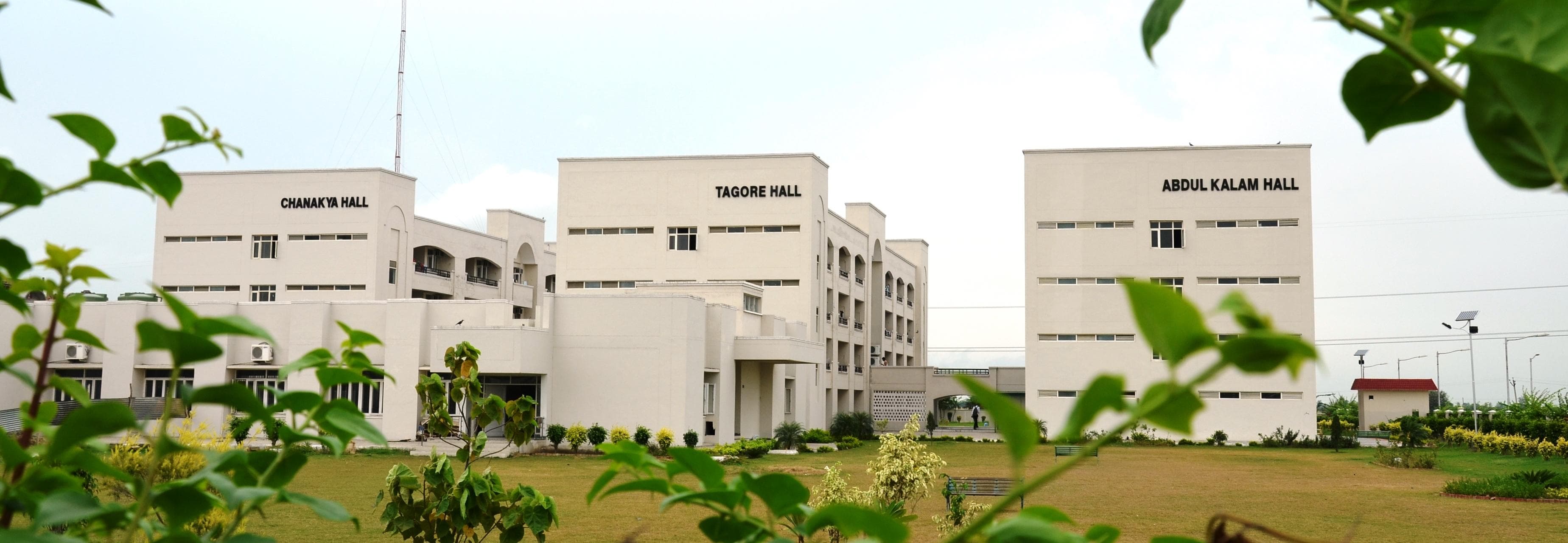 The Rajiv Gandhi National University of Law campus