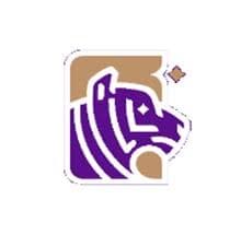 G. H. Raisoni International Skill Tech University, Pune logo