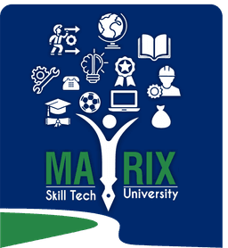 Matrix SkillTech University logo